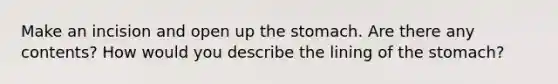 Make an incision and open up the stomach. Are there any contents? How would you describe the lining of the stomach?