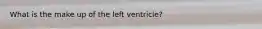 What is the make up of the left ventricle?