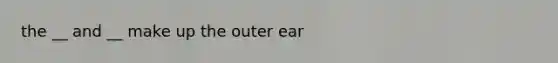 the __ and __ make up the outer ear