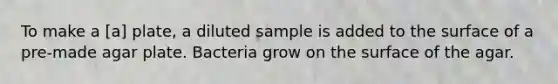 To make a [a] plate, a diluted sample is added to the surface of a pre-made agar plate. Bacteria grow on the surface of the agar.