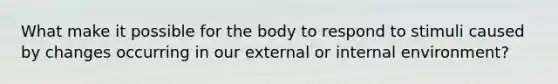 What make it possible for the body to respond to stimuli caused by changes occurring in our external or internal environment?