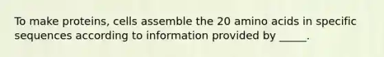 To make proteins, cells assemble the 20 amino acids in specific sequences according to information provided by _____.