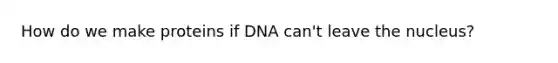 How do we make proteins if DNA can't leave the nucleus?