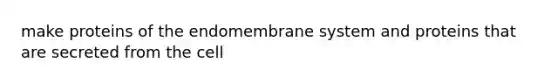 make proteins of the endomembrane system and proteins that are secreted from the cell