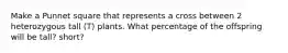 Make a Punnet square that represents a cross between 2 heterozygous tall (T) plants. What percentage of the offspring will be tall? short?