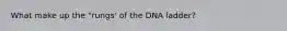 What make up the "rungs' of the DNA ladder?