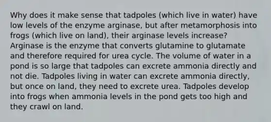 Why does it make sense that tadpoles (which live in water) have low levels of the enzyme arginase, but after metamorphosis into frogs (which live on land), their arginase levels increase? Arginase is the enzyme that converts glutamine to glutamate and therefore required for urea cycle. The volume of water in a pond is so large that tadpoles can excrete ammonia directly and not die. Tadpoles living in water can excrete ammonia directly, but once on land, they need to excrete urea. Tadpoles develop into frogs when ammonia levels in the pond gets too high and they crawl on land.