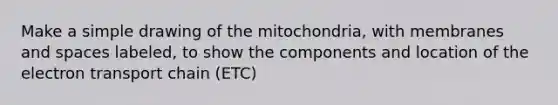 Make a simple drawing of the mitochondria, with membranes and spaces labeled, to show the components and location of the electron transport chain (ETC)