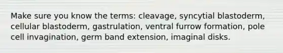 Make sure you know the terms: cleavage, syncytial blastoderm, cellular blastoderm, gastrulation, ventral furrow formation, pole cell invagination, germ band extension, imaginal disks.