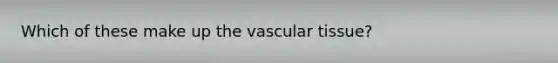 Which of these make up the vascular tissue?