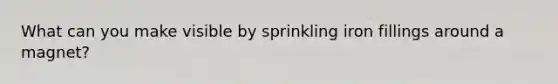 What can you make visible by sprinkling iron fillings around a magnet?