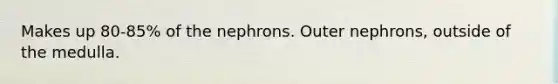 Makes up 80-85% of the nephrons. Outer nephrons, outside of the medulla.