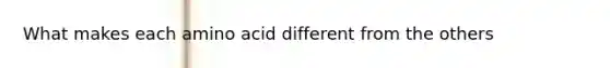 What makes each amino acid different from the others