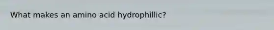 What makes an amino acid hydrophillic?