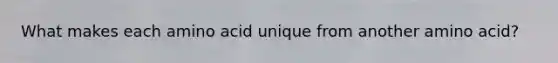 What makes each amino acid unique from another amino acid?