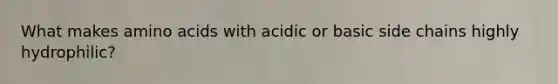 What makes amino acids with acidic or basic side chains highly hydrophilic?