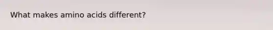 What makes amino acids different?