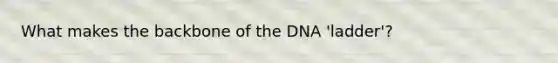 What makes the backbone of the DNA 'ladder'?