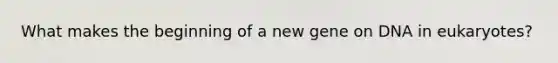 What makes the beginning of a new gene on DNA in eukaryotes?