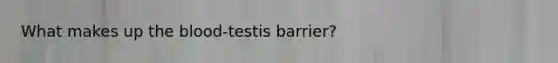 What makes up <a href='https://www.questionai.com/knowledge/k7oXMfj7lk-the-blood' class='anchor-knowledge'>the blood</a>-testis barrier?