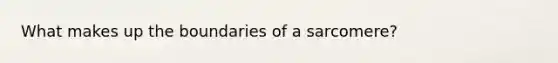 What makes up the boundaries of a sarcomere?