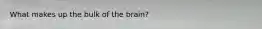 What makes up the bulk of the brain?