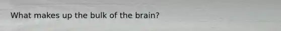 What makes up the bulk of the brain?