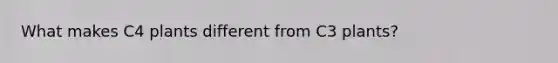 What makes C4 plants different from C3 plants?