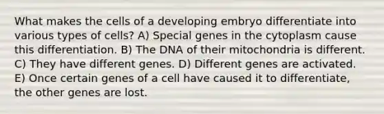 What makes the cells of a developing embryo differentiate into various types of cells? A) Special genes in the cytoplasm cause this differentiation. B) The DNA of their mitochondria is different. C) They have different genes. D) Different genes are activated. E) Once certain genes of a cell have caused it to differentiate, the other genes are lost.