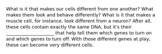 What is it that makes our cells different from one another? What makes them look and behave differently? What is it that makes a muscle cell, for instance, look different from a neuron? After all, these cells contain exactly the same DNA, but it's their _____________________ that help tell them which genes to turn on and which genes to turn off. With those different genes at play, these can become very different cells.