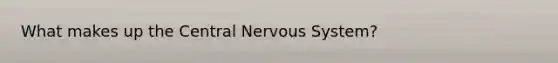 What makes up the Central Nervous System?