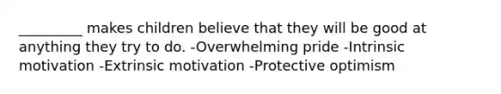 _________ makes children believe that they will be good at anything they try to do. -Overwhelming pride -Intrinsic motivation -Extrinsic motivation -Protective optimism