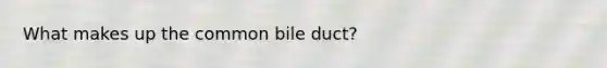 What makes up the common bile duct?