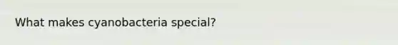 What makes cyanobacteria special?