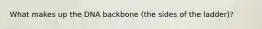 What makes up the DNA backbone (the sides of the ladder)?