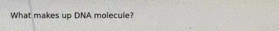 What makes up DNA molecule?