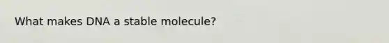 What makes DNA a stable molecule?