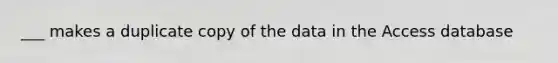 ___ makes a duplicate copy of the data in the Access database