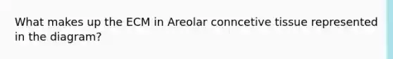 What makes up the ECM in Areolar conncetive tissue represented in the diagram?