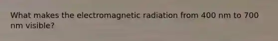 What makes the electromagnetic radiation from 400 nm to 700 nm visible?