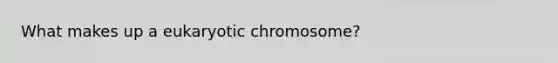 What makes up a eukaryotic chromosome?