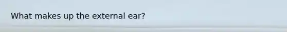 What makes up the external ear?