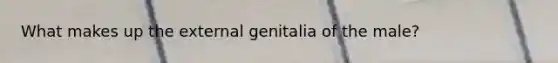 What makes up the external genitalia of the male?