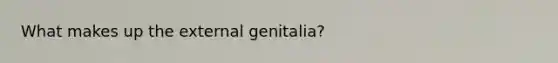 What makes up the external genitalia?