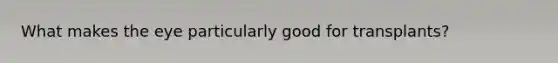 What makes the eye particularly good for transplants?