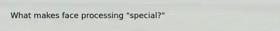 What makes face processing "special?"