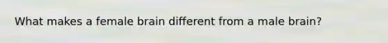 What makes a female brain different from a male brain?