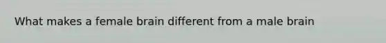 What makes a female brain different from a male brain