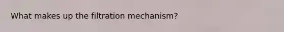 What makes up the filtration mechanism?