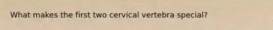 What makes the first two cervical vertebra special?